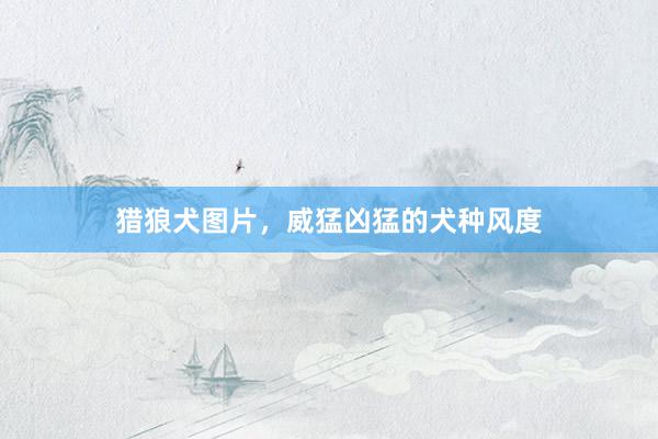 猎狼犬图片，威猛凶猛的犬种风度